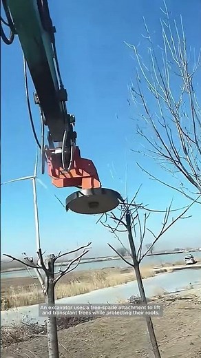 Mechanical Tree Transplanting in Open Fields