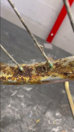 The Peugeot 102 has pain in the 🦷