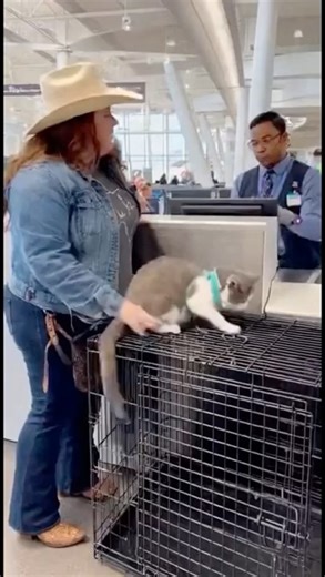 Lady from Texas has Service Animal Issues at Airport Check -In