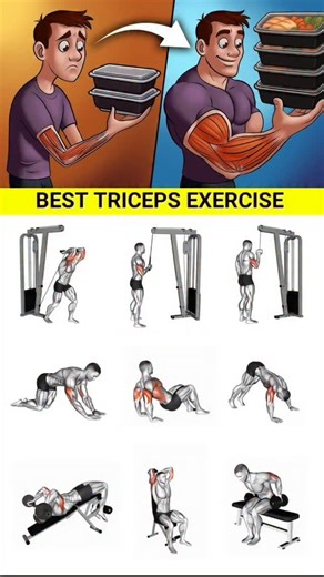 workout Zone on Instagram: "💥 Day 203/365 – Tricep Titan: Strength & Size Builder 💥 Workout Plan: ✅ Close-Grip Bench Press – 4 sets × 8-10 reps ✅ Overhead Dumbbell Extension – 3 sets × 12 reps ✅ Cable Rope Pushdowns – 4 sets × 12-15 reps ✅ Skull Crushers (EZ Bar) – 3 sets × 10-12 reps ✅ Bench Dips (Weighted if possible) – 3 sets × 15 reps 🔥 Finisher: Diamond Push-Ups – 2 sets to failure #Day203Of365 #TricepWorkout #ArmDay #PushDay #BiggerArms #WorkoutZone #StrengthGoals #MuscleBuilding #NoPai