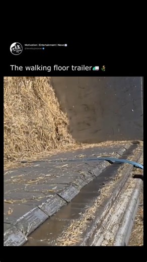 LevelUpNoow🔥 | Self-Growth on Instagram: "No tipping required! Watch this trailer unload itself. 🤯 ​You are looking at a "Walking Floor" (or Moving Floor) system in action. This ingenious hydraulic mechanism allows massive trailers to unload bulk cargo like hay, wood chips, or waste without ever needing to lift the trailer bed. ​How does the floor "walk"? ​It might look like a conveyor belt, but it's actually a series of separate floor slats working on the principle of friction and reciprocati