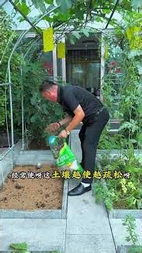 For vegetables to thrive when grown on rooftops in rural areas, maintaining
