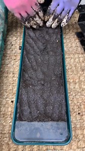 19K views · 2.8K reactions | View the tools, supplies, and how-to course in the shop! I give soil blocking the full credit for helping me to become a flower farmer. You may not know it, but I don’t have any hoop or greenhouses and never have. I do all my seeds starting indoors in a building like a spare bedroom. We’ve started hundreds of thousands of seeds using soil blocks. It rocks! #gardenersworkshopfarm | The Gardener's Workshop | Facebook