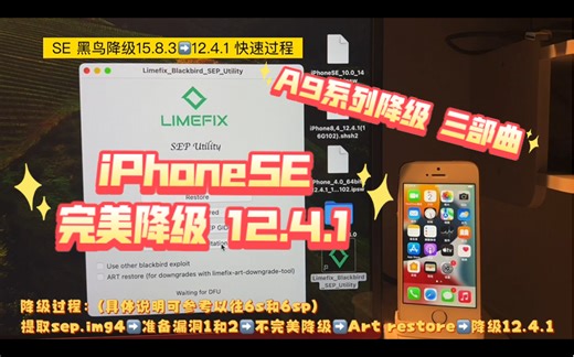 『A9』黑鸟漏洞降级-iPhoneSE篇(感谢粉丝提供机器)，漏洞调用失败N次，最终不负所望！！！【Limefix软件3/3】
