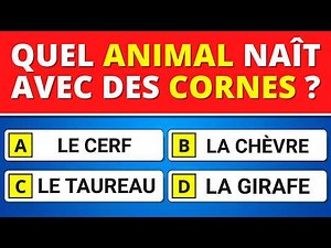 Seulement 10% Réussissent ce Quiz de Culture Générale 🧠 30 Questions !