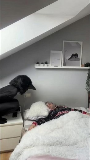 Epic Jump Scare Reactions 😱 #588