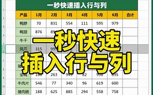 Excel表格中，如何一秒快速插入行与列？