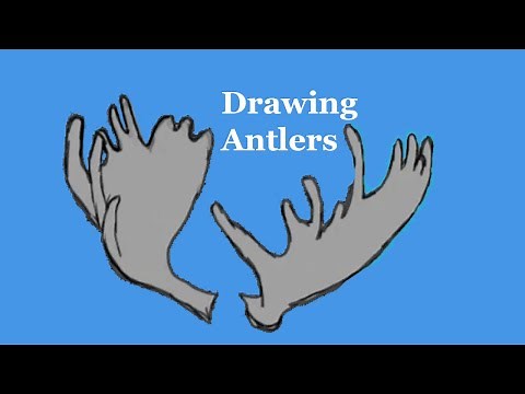 Drawing Moose Antlers
