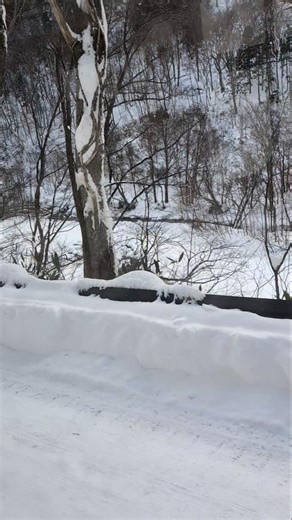 #asmr BUS RIDING SIGHT SEEING JAPAN WINTER GATEWAY #japan #countryside #mesmerising