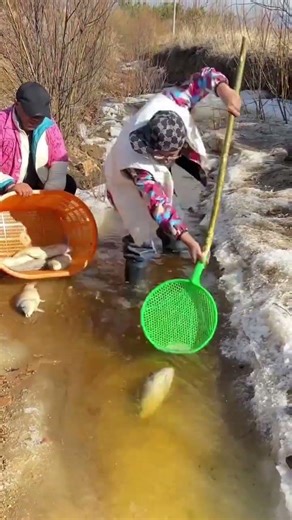 Satisfying Ice Stream Fishing | Massive Haul! 🎣​#fishing #bigfish #amazing