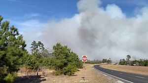 11K views · 160 reactions | TODAY AT FIVE: Fire crews are battling a wildfire that has triggered evacuations for some residents in Bastrop County. FOX 7 has multiple crews on the scene and will have the latest on the developing situation. Today on FOX 7 Austin News at 5pm. Or stream us live here: https://fox7austin.com/live | FOX 7 Austin | Facebook