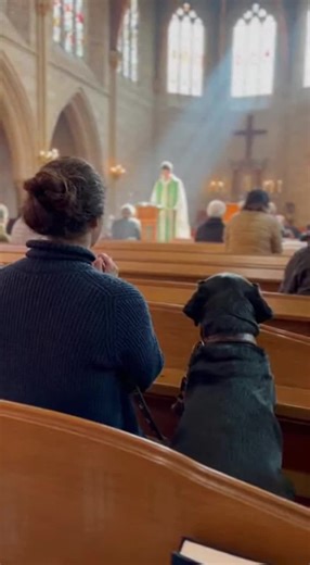 A dog quietly praying during a church service. I can’t imagine how much patience it took for the dog to stay so still. Either way, it’s incredibly beautiful to witness #dog #carameldog #artificialintelligence #churchservice #praying