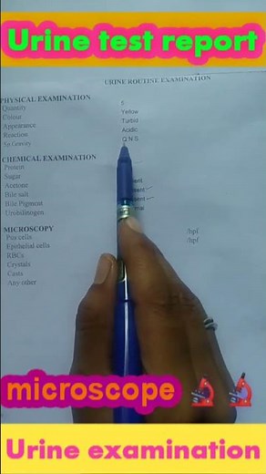urine routine examination test report