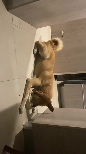 Mi bebe ya creció 🥺