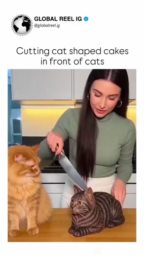 @_dbrogle on Instagram: "AI videos are getting a lot better but there’s still ways to tell. Specifically, since AI perceives things as lists of numbers that encode meaning, things with close lists (French and English, or Cat and Dog) it confuses, which is evident in how it makes English speakers do french behavior and a cat act like a dog. While these tactics are specific, this approach can be used generally to detect AI videos, so I hope that’s helpful!"