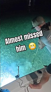 POV: Catching Florida Lobster With a Bully Net at Night