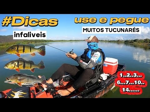 COMO PESCAR TUCUNARÉ: 7 Dicas essenciais# tucunare#pescaria