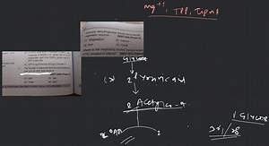 The number of substrate level phosphorylation in one turn of ci... | Filo