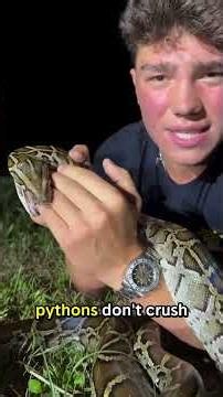 Python: The Snake That Can Survive Without Food for Months 😱