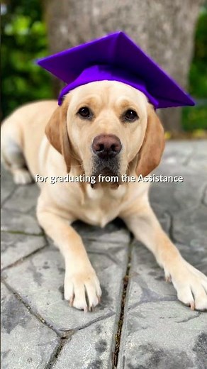 OHSU Doernbecher Welcomes Darby 🎈🦮