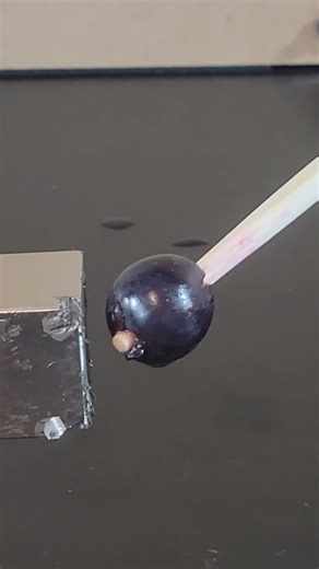 2 Truths & Trash: S2E2 - Round 2 #experiment #2truthsandtrash #science | JaDropping Science