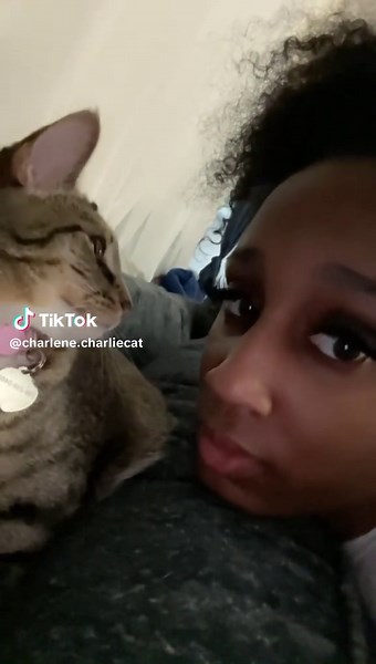 Funny Cat Moments: Slapping and Biting Tabby Antics