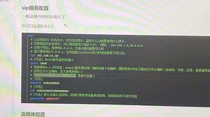 Wvp配置文件说明