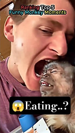 Ranking top 5 chaotic monkey moments 😭 #monkeymoments #petmonkeys #comedyshorts