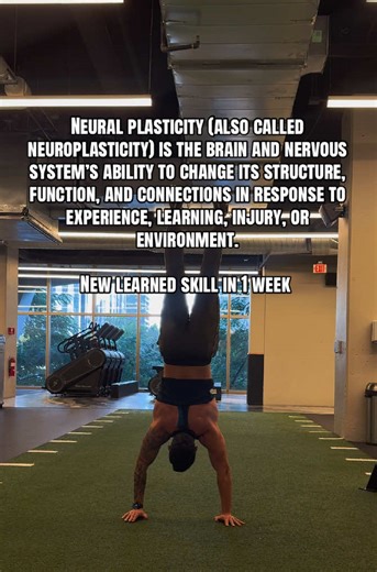 Neural plasticity (also called neuroplasticity) is the brain and nervous system’s ability to change its structure, function, and connections in response to experience, learning, injury, or environment. #wellness #fitness #gym #science #discipline