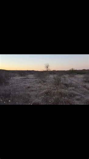 4.4K views · 79 reactions | Garrett County MD October 21, 2025 | Allegheny Mountains Weather | Facebook