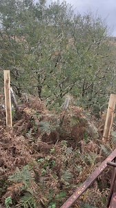 129K views · 1.1K reactions | FMP I’ve got a stiff | Gareth Wyn Jones | Facebook