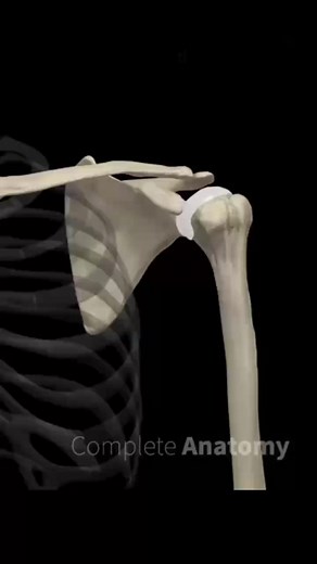 10K views · 274 reactions | Complete anatomy of shoulder joint # Doctor of physical therapy | Doctor of physical therapy | Facebook