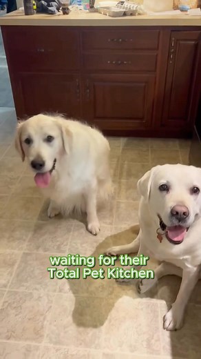 129 reactions · 4 comments | What's really in their bowl? Discovering what's in their highly processed kibble can be a tough pill to swallow. With Total Pet Kitchen, you can prepare fresh, homemade meals for your dog or cat in under an hour. Control what's in their bowl and see the difference real food makes.  Free Shipping  90-Day Money Back Guarantee | Total Pet Kitchen | Facebook