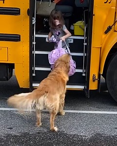 13M views · 34K reactions | 'Our dog carries our daughter's backpack off the bus every day after school' ❤️ | LADbible | Facebook