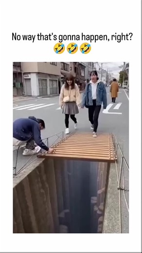 sharma ji on Instagram: "This instagram reel (posted January 8, 2026) shows a ~23-second video compilation of people (mostly appearing Japanese, in urban settings with Asian signage and fashion) reacting dramatically to hyper-realistic 3D anamorphic street illusions painted on the ground — like deep bottomless pits, crumbling holes, or shaky rope bridges.People hesitate, jump back in shock, tiptoe around the "edges," or pose playfully as if about to fall in. The caption reads: "No way that's gon