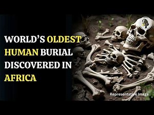 Humans May Have Evolved in Europe, Not Africa | WION Podcast