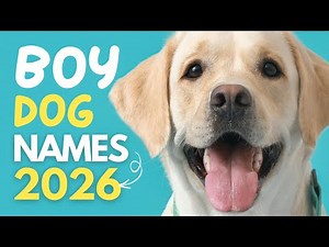 Male Dog Names BLOWING UP This Year| Cute, Trendy & Unique