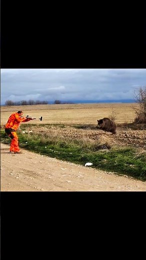 🔥 Chasse au Sanglier Sauvage – Tir Parfait en Pleine Nature 🐗🇫🇷 #hunting #wildboar #chasse #jabali