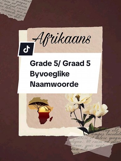 Essential Afrikaans Terms for Grade 5 Learners