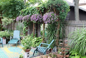 The best ‘spiller’ plants for your hanging baskets, window boxes and pots