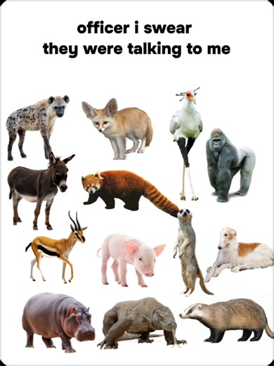 Aggretsuko: Karakter dan Momen Terbaik di Musim 5