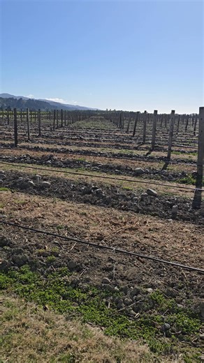 Taking care of business so you can enjoy the holiday. #CSINTEGRATION #H20WKS ##csionthecase | CSIntegration Limited