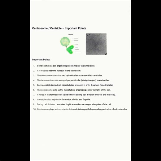 Centrosome & Centriole Important Points + Exceptions |