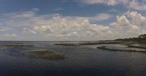 In the Grass, On the Reef:The True Value of a Salt Marsh