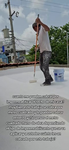 Cuánto cobran por impermeabilizar el techo de mi casa