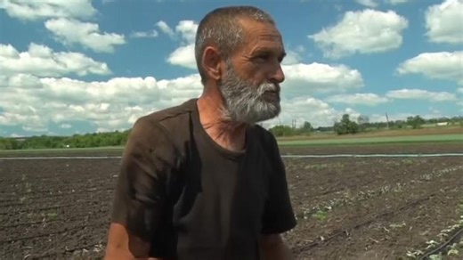 Ukrainian farmers in the Donbas have been planting seasonal vegetables despite the ongoing fierce fighting surrounding them in the country's east.