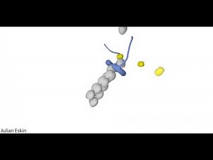 Actin nucleation by Formin
