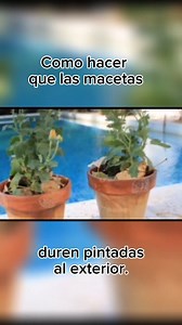 11K views · 234 reactions | ¡Buen día! ¡Hermosa mañana! ☀️ Les...