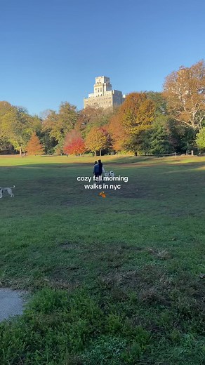 fall morning walks in new york city 🍂📍prospect park #autumn #nyc #newyorkcity #autumnvibes #fall