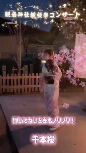 観音神社で、ヴァイオリンで『千本桜』を弾いてみました #violin #平野郁乃 #千本桜 #バイオリン #観音神社
